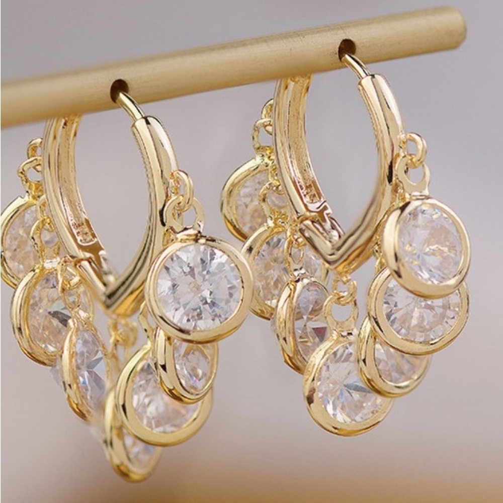 Elegant Gold and Silver Dangle Earrings